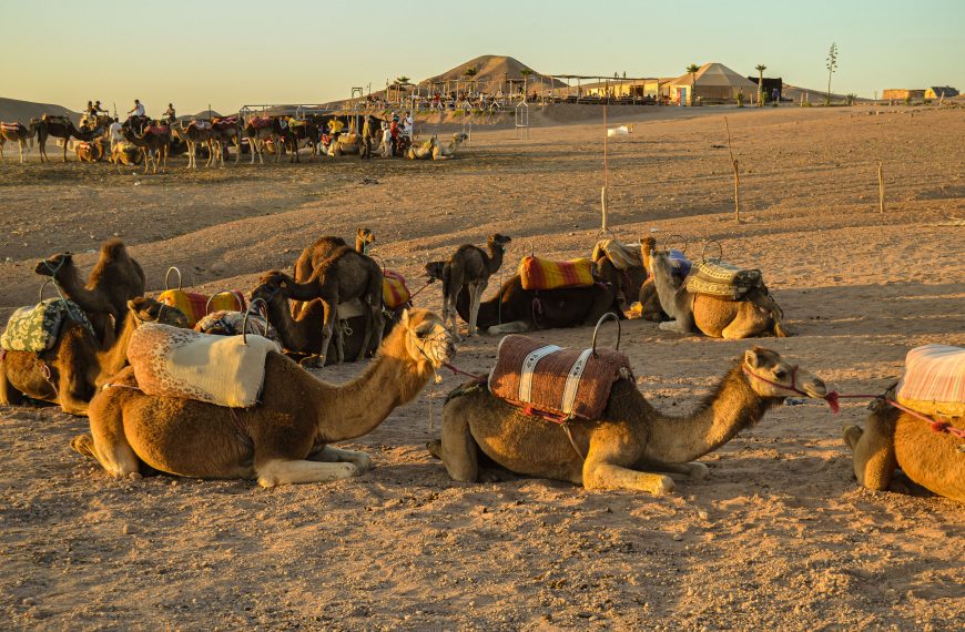 Day trip to Agafay Desert