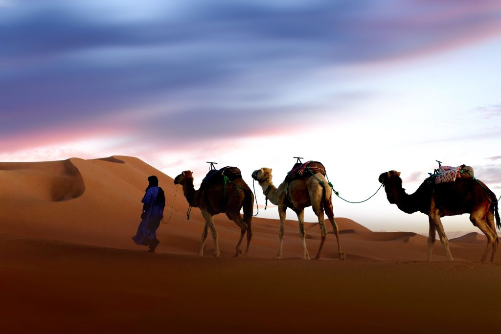 2 days desert tour from Fes to Merzouga
