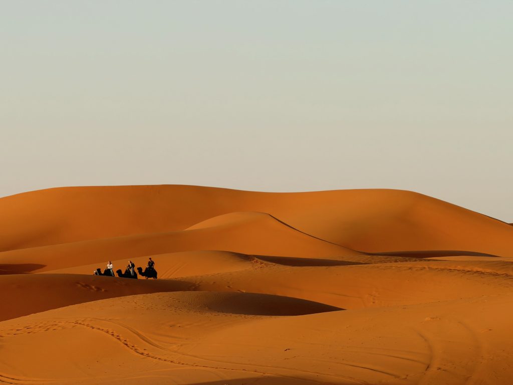 A group of camels and riders traverse the rolling sand dunes of the Moroccan desert under a clear sky.